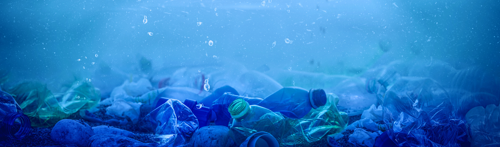 Plastic water bottles under water