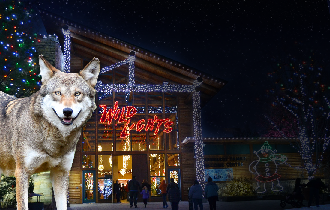 Wold in front of building with holiday lights