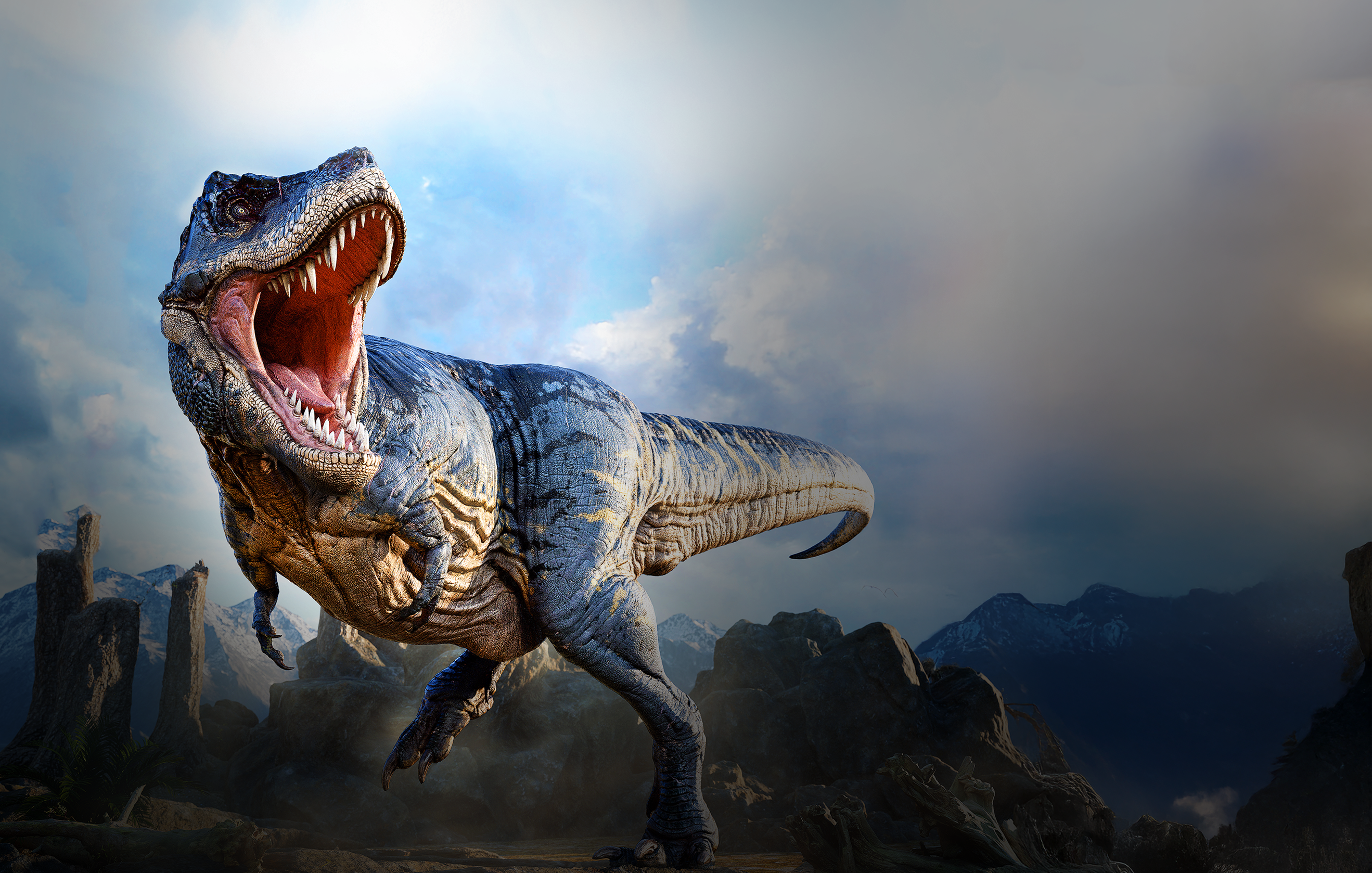 T-Rex in a rocky area