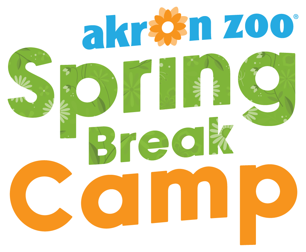 Spring Break logo 
