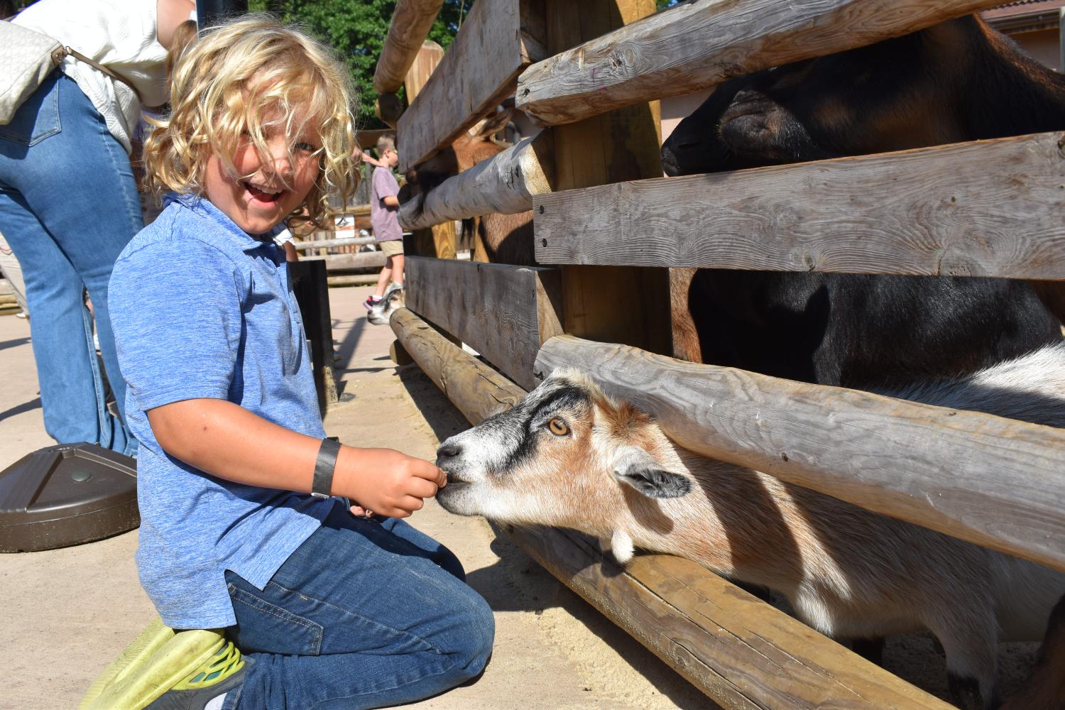 Boy with goat