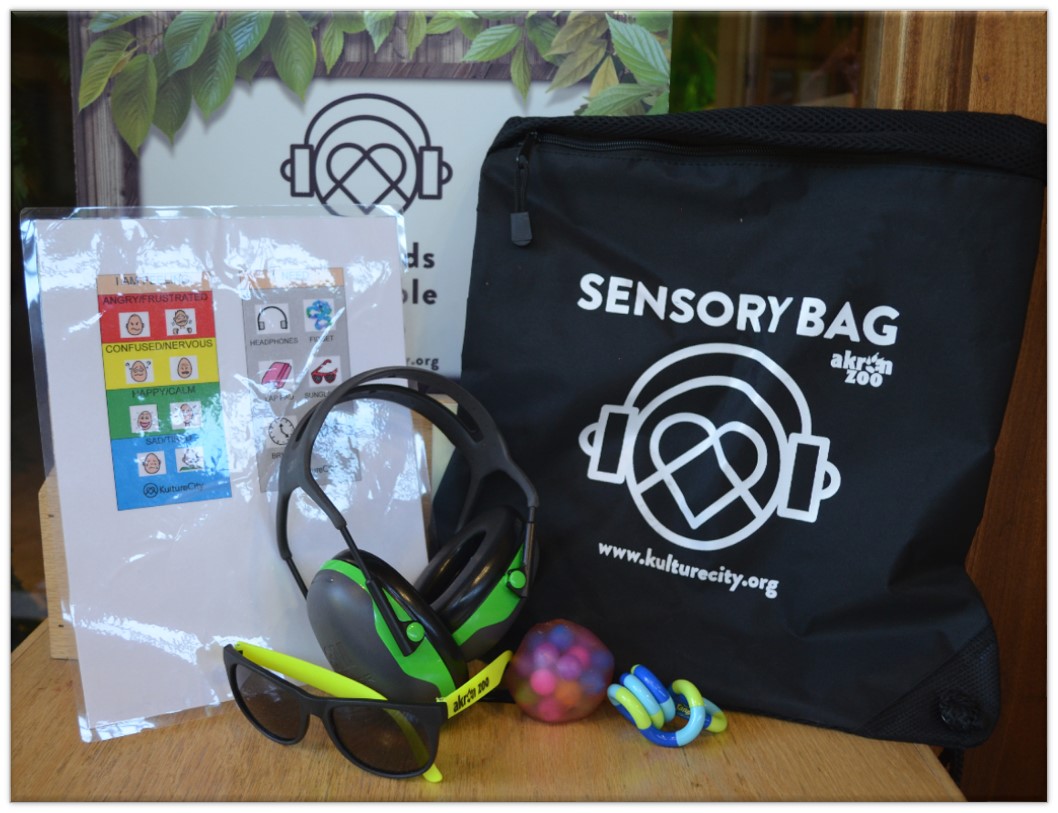 Sensory bag items