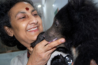 geeta and bear