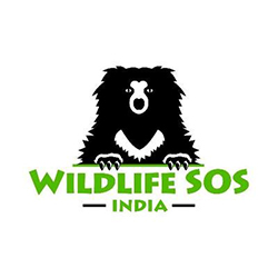 wildlife sos