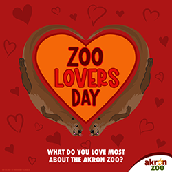 zoo lovers