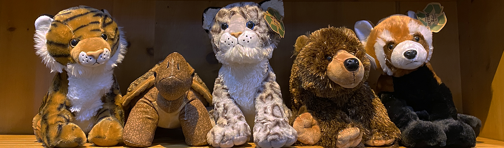 Stuffed animals - tiger, tortoise, snow leopard, bear, red panda