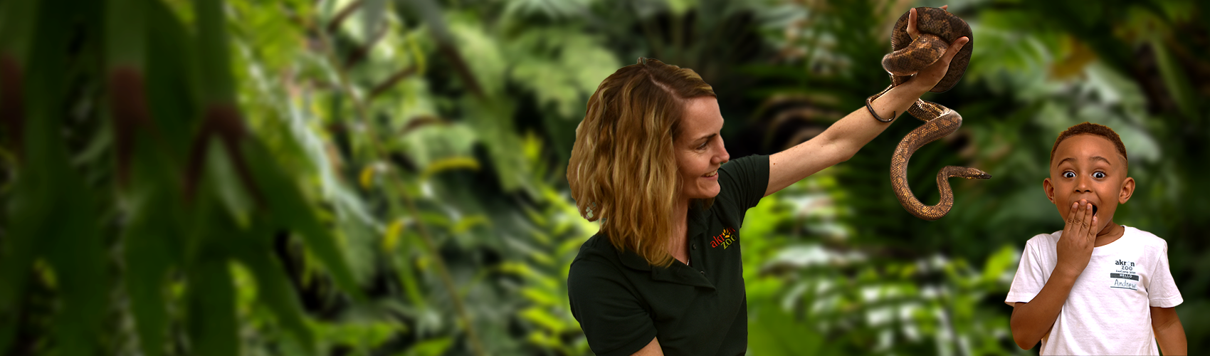 Akron Zoo employee holding snakes for ZooCamper