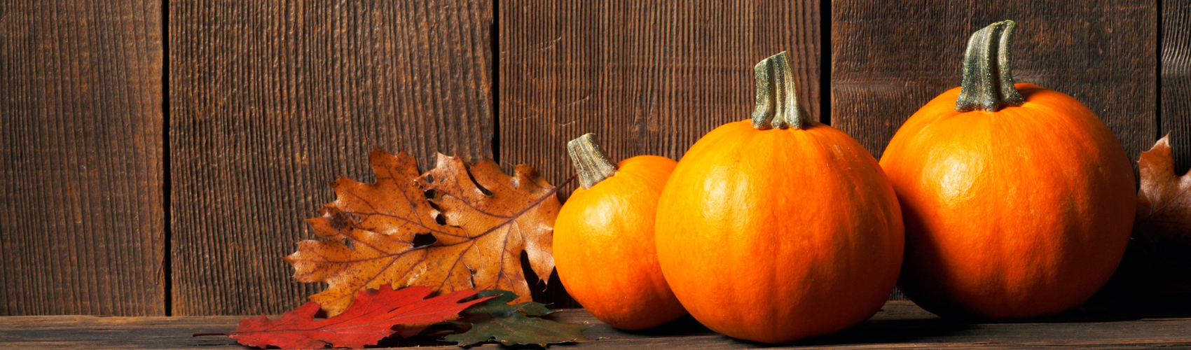 Pumpkins in front of dark wood background