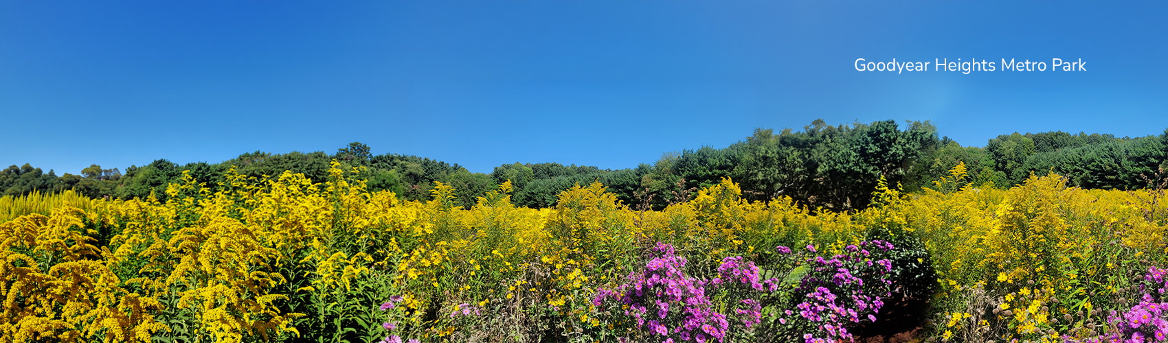 Native Plants Field