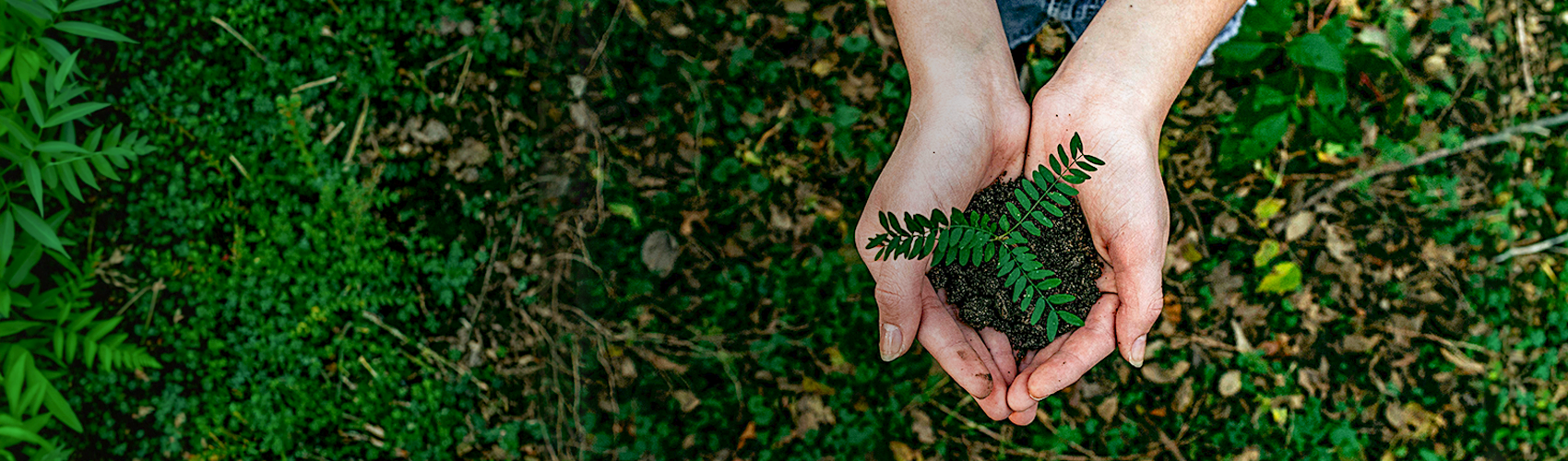 Planting grass hands