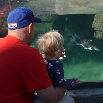 Father and daughter at penguin habitat