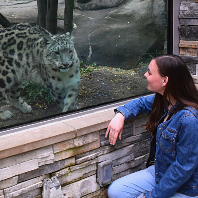 Milja the snow leopard and guest