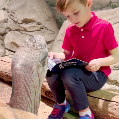 Boy reading to Galapagos tortoise