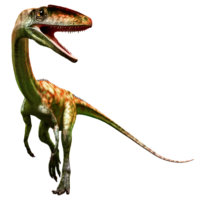 Coelophysis