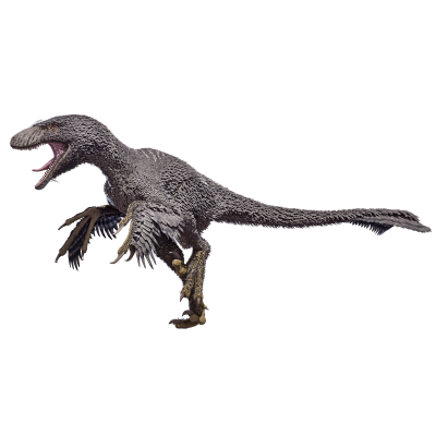 Dakotaraptor