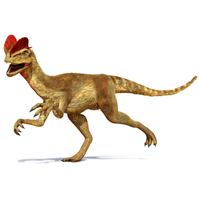 Dilophosaurus