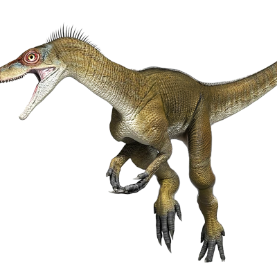 Eoraptor