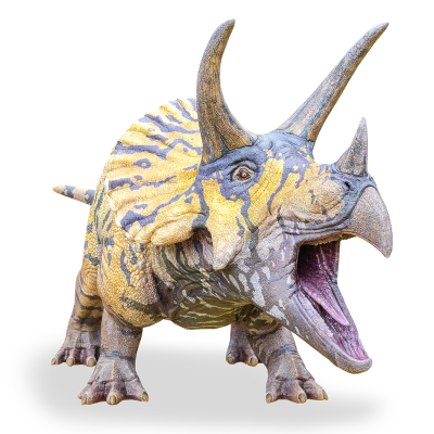 Triceratops