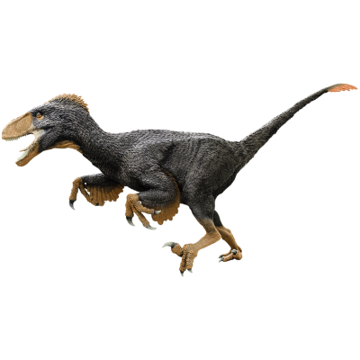 Utahraptor