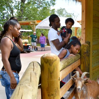 Family at Pride of Africa goat yard
