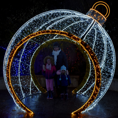 Family in Wild Lights ornament photo op