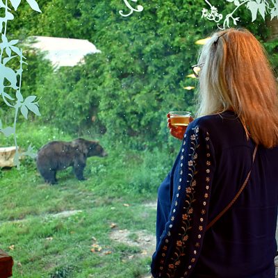 Woman drinking wine while watching the grizzly bear