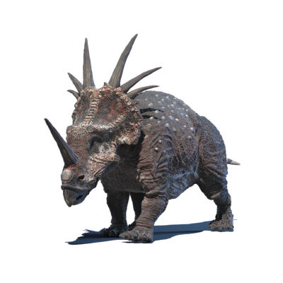Styracosaurus