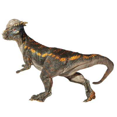 Pachycephalosaurus