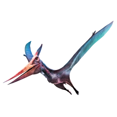 Pteranodon