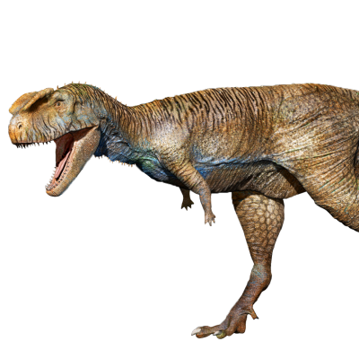 Rugops
