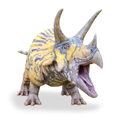 Triceratops