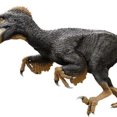 Utahraptor