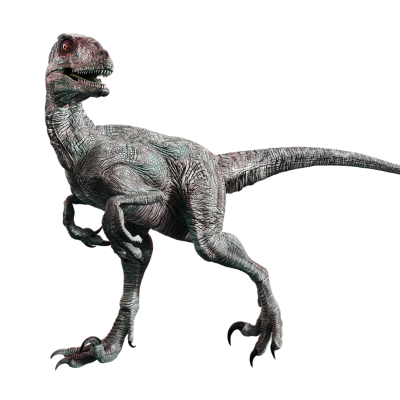 Velociraptor