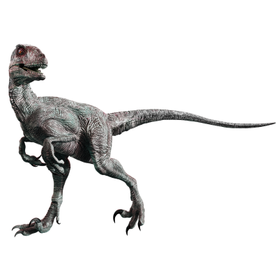 Velociraptor