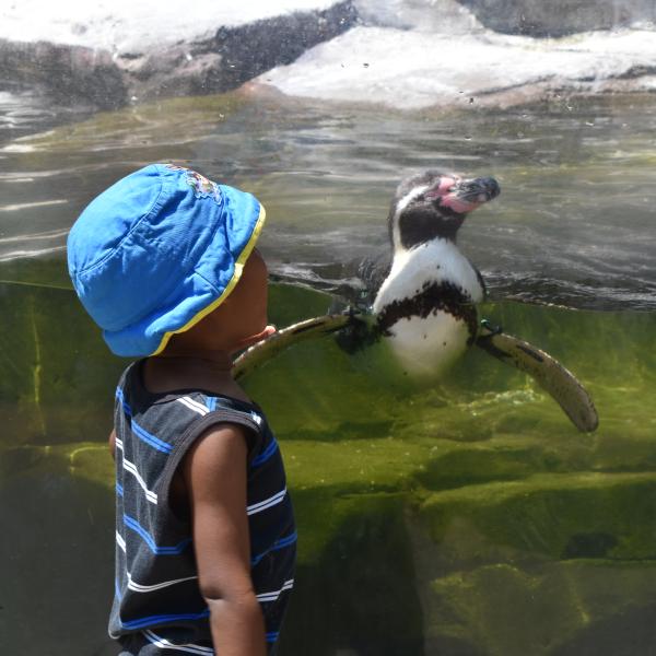 Child in bucket hat with penguin