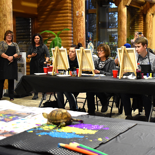 Box turtle painting during Wine & Paint