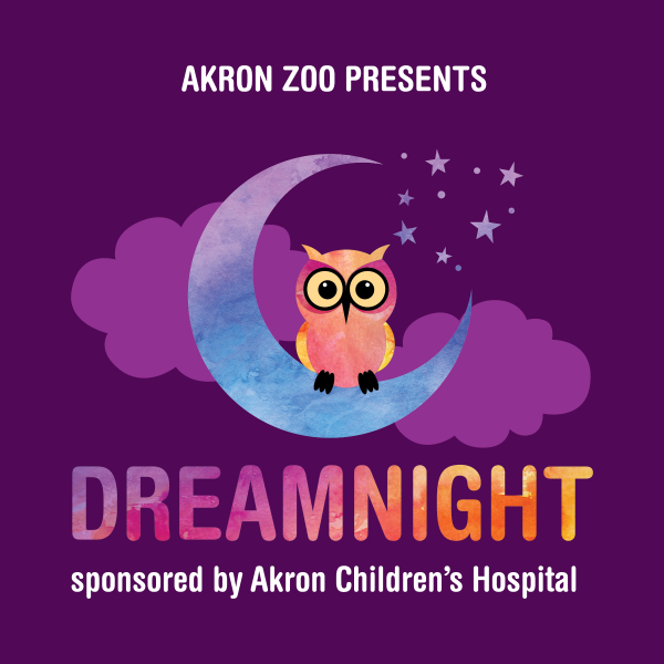 Dreamnight logo