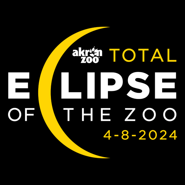 eclipse logo