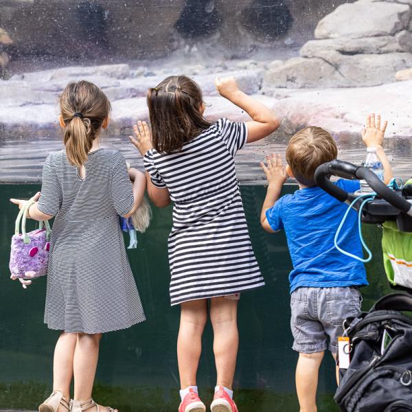 Children enjoying the penguins