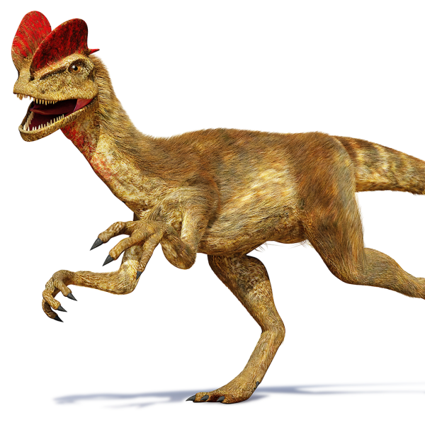 Dilophosaurus