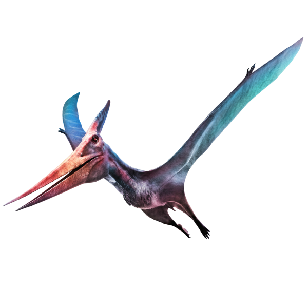 Pteranodon