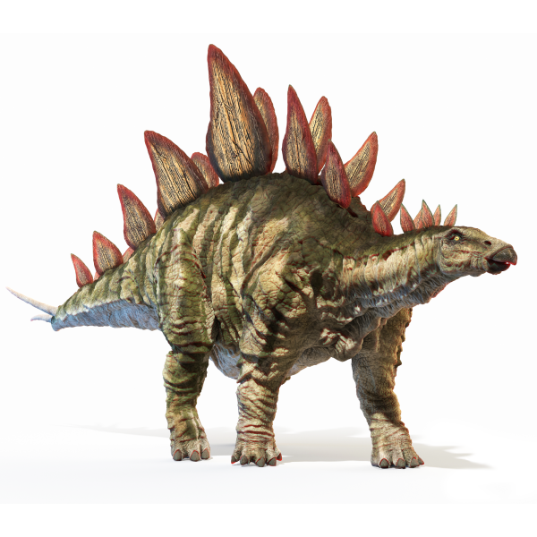 Stegosaurus