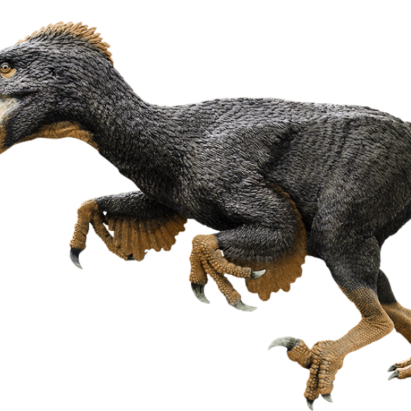 Utahraptor
