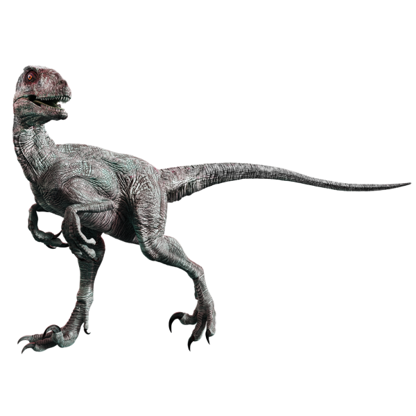 Velociraptor