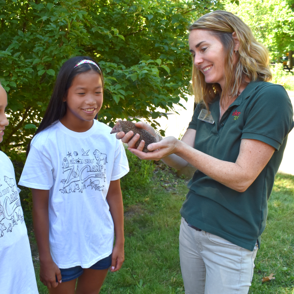 Two girls looking at tenrec held by zoo employee