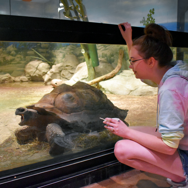 Girl with Galapagos Tortoise