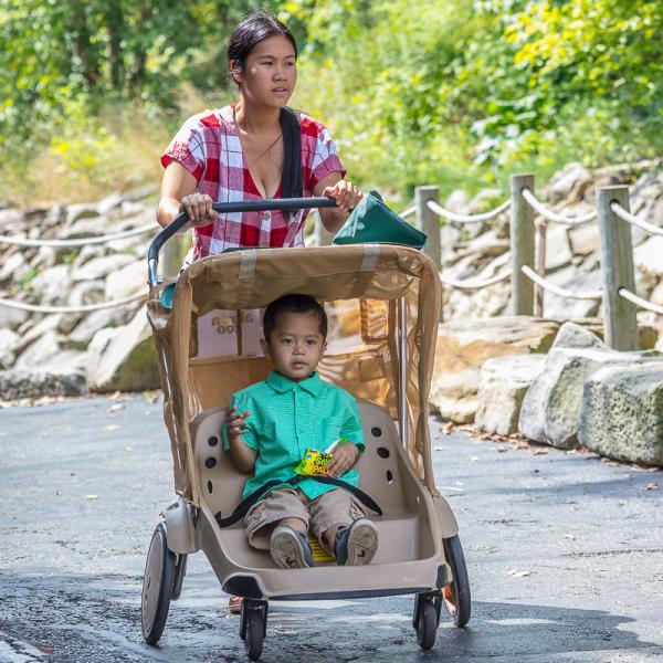 Woman and boy in stroller
