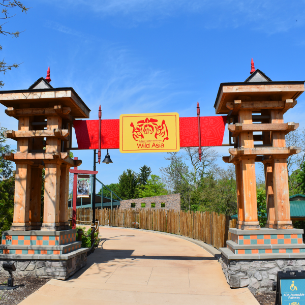 Wild Asia entrance arch