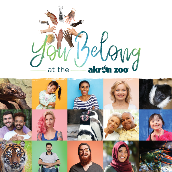 You Belong logo