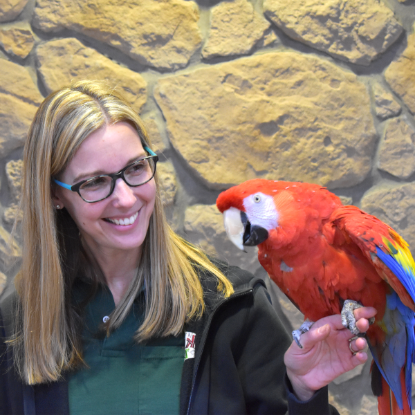 Akron Zoo employee with scarlet macaw